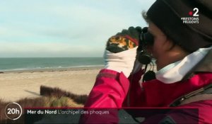 Allemagne : excursion sur l'archipel des phoques