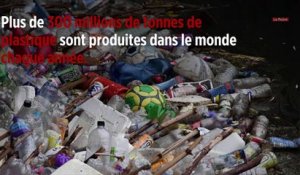 WWF : « La production de plastique pourrait augmenter de 40 % d'ici 2030 »