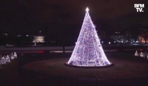 États-Unis: Donald et Melania Trump illuminent le sapin de Noël de la Maison Blanche