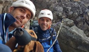 Pyrénées : un chien de chasse, bloqué pendant deux nuits en haute-montagne, a été secouru
