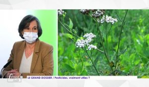 Le Grand Talk  - 10/12/2020 - 2/3 - Pesticides, vraiment utiles ?