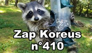 Zap Koreus n°410