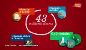 Territoires zéro chômeur - Sénat en action (02/12/2020)