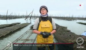 Noël : des huîtres bio élevées dans le bassin d’Arcachon