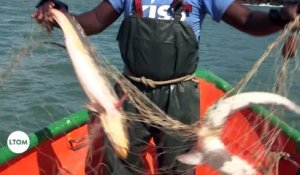 Guyane : Pêche à l'acoupa