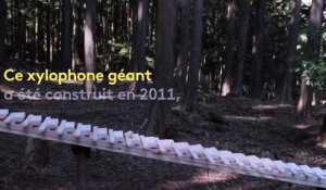 Japon : un xylophone géant passionne les internautes