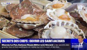 Les secrets des chefs - comment ouvrir les coquilles Saint-Jacques ?