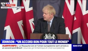Boris Johnson: "Grâce à cet accord, nous allons pouvoir pêcher des quantités considérables de poissons"