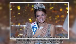 Miss France 2021 - Amandine Petit présente sa famille avec originalité