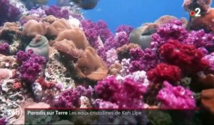Thaïlande : l'île de Koh Lipe et ses eaux cristallines