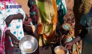 Tchad : cris de détresse de villageois face à la pénurie d'eau