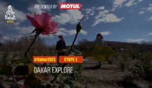 #DAKAR2021 - Étape 1 - La rose de Taif