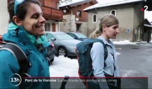 Savoie : à la recherche des animaux sauvages dans le Parc national de la Vanoise