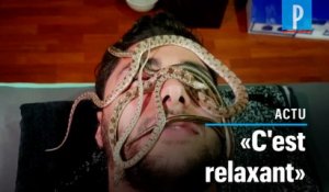Des massages aux serpents vivants dans un spa en Egypte
