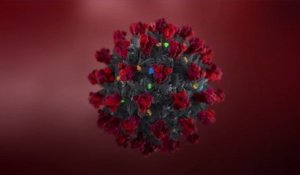 Une étude révèle que l'immunité au coronavirus dure au moins 8 mois