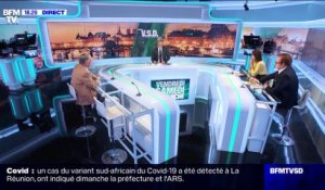 Alain Duhamel: "Emmanuel Macron est complètement différent des autres" - 17/01
