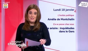 Pierre-Jean Verzelen et Amélie de Montchalin - Bonjour chez vous ! (18/01/2021)