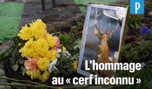 Hommage au cerf de la gare de Chantilly : « Une insulte aux patriotes tombés pour la France »