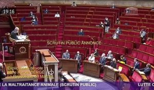 L'Assemblée nationale a voté à la quasi-unanimité en première lecture la proposition de loi de la majorité contre la maltraitance animale