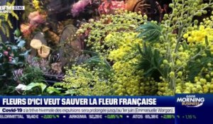 Impact : Fleurs d'Ici veut sauver la fleur française, par Cyrielle Hariel - 02/02