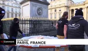 France : des activistes alertent sur le sort des dauphins