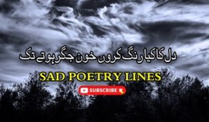 Aah Ko Chahay Ek Umar Asar Hotay Tak | Sad Poetry | Poetry Junction