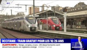 La SNCF et la région Occitanie vont expérimenter la gratuité des TER pour les jeunes