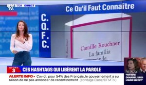 #BalanceTonPorc, #MeTooInceste, #SciencesPorc... Sur Twitter, ces hashtags libèrent la parole