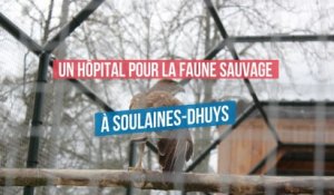 Centre de soins pour la faune sauvage Soulaines-Dhuys