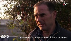 Délinquance : agriculteurs à bout de nerfs