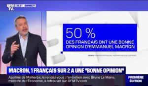 Un Français sur deux a une "bonne opinion" d'Emmanuel Macron, selon un nouveau sondage
