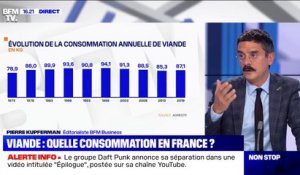 La consommation de viande des Français est-elle en baisse ?