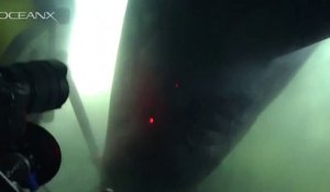 Un requin géant tourne autour d'un sous-marin
