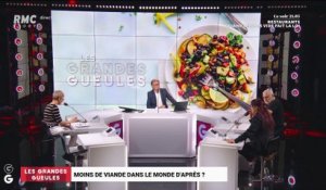 Moins de viande dans le monde d'après ? - 24/02