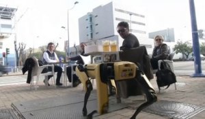 À Séville, un robot sert les clients d'un bar pour éviter les contacts