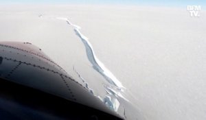 Un iceberg de la taille de l'agglomération de Paris se détache de l'Antarctique