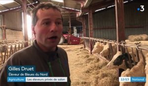 Salon de l’Agriculture : qu’est devenue Imminence, l’égérie de l’édition 2019 ?