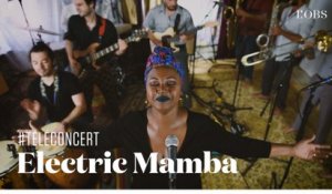 Electric Mamba - "Bamara Wali" (téléconcert exclusif pour "l'Obs")