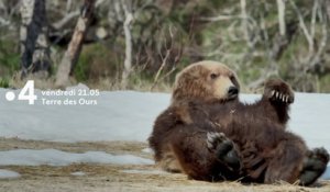 Terre des ours -Bande Annonce