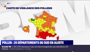 20 départements du sud de la France placés en alerte rouge au pollen