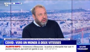 Pour l'épidémiologiste Renaud Piarroux, "si on ne se bat pas tout l'été, il n'y a aucune raison que l'épidémie ne reprenne pas"