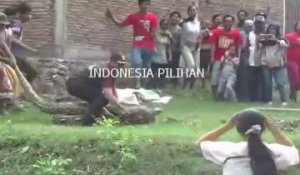 Des indonésiens capturent un anaconda énorme et terrifiant