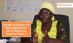 Point de vue : Quelle politique de développement de la fraise au Burkina Faso ?