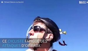 Un cycliste crée un casque amusant pour éviter les attaques d'oiseaux agressifs