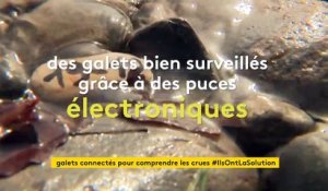 Des galets connectés immergés dans le Gave de Pau pour mieux comprendre les crues