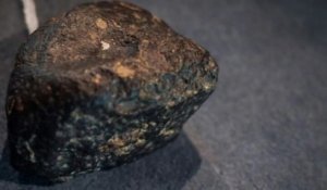 Une météorite aussi vieille que le système solaire découverte dans le Sahara