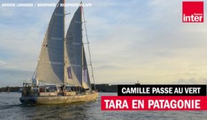 Tara en Patagonie - Camille Passe au Vert