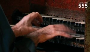 Scarlatti : Sonate en La Majeur K 280 (Allegro), par Frédérick Haas - #Scarlatti555