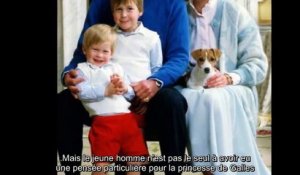 Le prince Harry n’oublie pas le mausolée de Diana ce dernier geste touchant