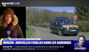 Affaire Estelle Mouzin: une nouvelle série de fouilles a débuté dans les Ardennes